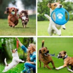 15pcs Tough Dog Toys Bundle Chew Rope Knot Ball Squeakers Pet Puppy Teething Random Send